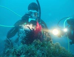 Florida, una stagione d'oro per i cacciatori di tesori subacquei