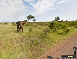 Il Sudafrica per tutti con la realtà virtuale di Google Maps