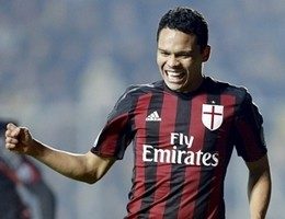 bacca