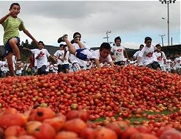 tomatina