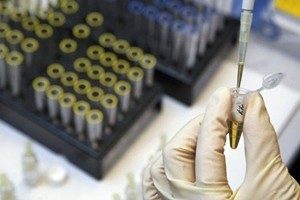 (l'Agenzia Mondiale Antidoping)