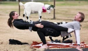 Praticare yoga con le caprette, l'ultima moda negli Stati Uniti