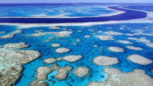 barriera-corallina-australiana