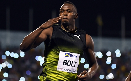 bolt