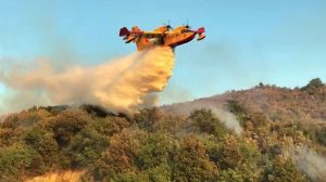 canadairincendi