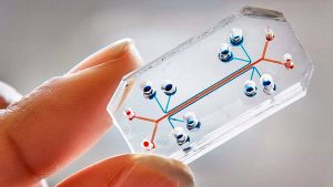 Lab-on-a-Chip