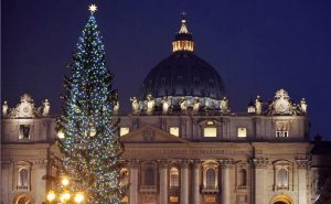 albero-san-pietro-vaticano-natale