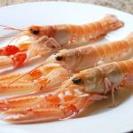 scampi