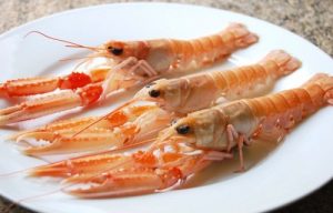 scampi