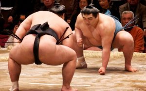 Sumo