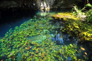 Grand_Cenote_20101006