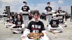 Seoul, protesta choc con cuccioli morti stop al massacro di cani