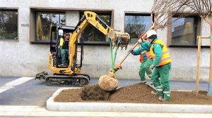 A Milano in arrivo 16.000 alberi, si punta su aree non già verdi