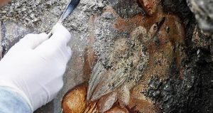 Leda e il cigno, la nuova meraviglia di Pompei e' hot 292