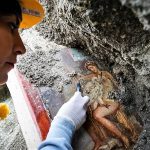 Leda e il cigno, la nuova meraviglia di Pompei e' hote 2