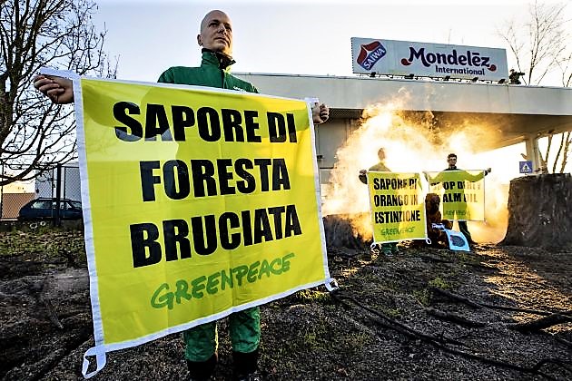 Greenpeace-olio-di-palma-3-630x420