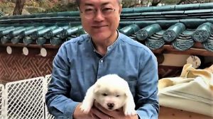 Moon Jae-in tiene in braccio i cani del disgelo tra le due Coree