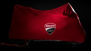 15doviziosopetrucciducati