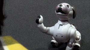 Aibo, il cane-robot