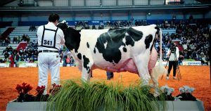 The-Milk-System-di-Andreas-Pichler-Fiera-di-Cremona-2