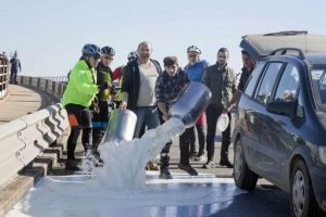 protesta dei pastori in sardegna per il  crollo del prezzo del l