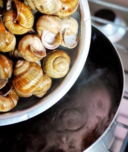 Chiacchiere tra Escargots