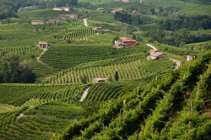 Le colline del prosecco