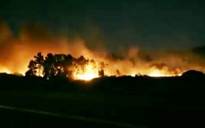 incendio_sardegna_siniscola