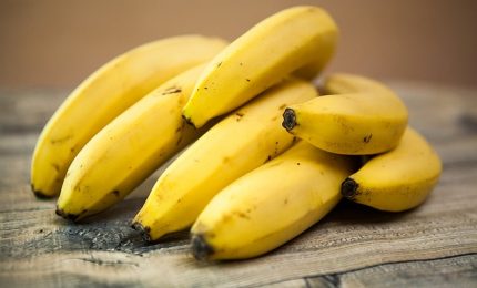 A rischio banane di tutto il mondo, colpa del fungo TR4