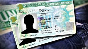 green-card1-1024x576