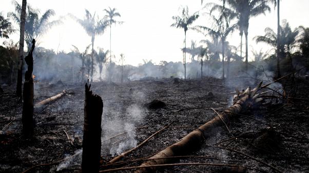 incendioamazzonia