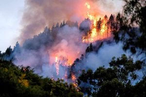 spagna-incendio-gran-canaria