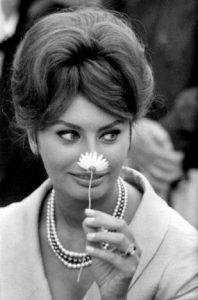 Sophia Loren34