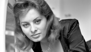 Sophia Loren43