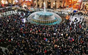 genova sardine