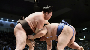 sumo