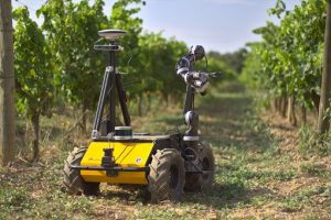 Tecnologia/La vigna diventa hitech (e biologica) grazie ai robot