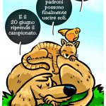 vignetta