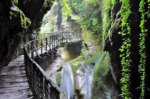 FAI-Fondo-Ambiente-Italiano