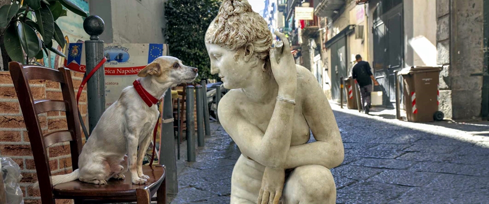 Fuga-dal-Museo-Cane-che-annusa-MANN-Napoli