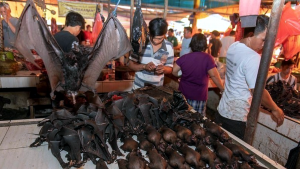 mercato Wuhan