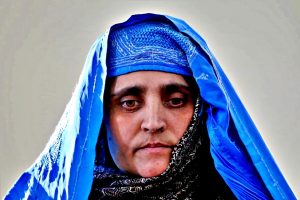 Sharbat Gula