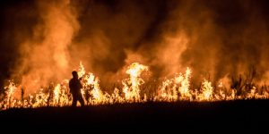 incendios-forestales-1-1-1114x557