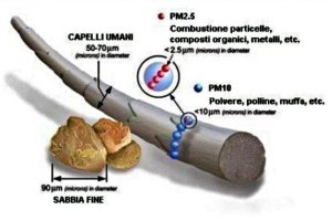 Polveri-sottili