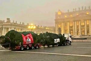 albero-di-natale-piazza-san-pietro