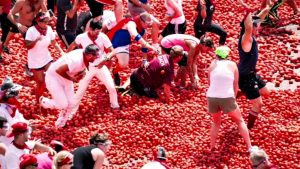 Tomatina-lotta2