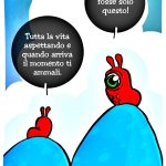 vignetta