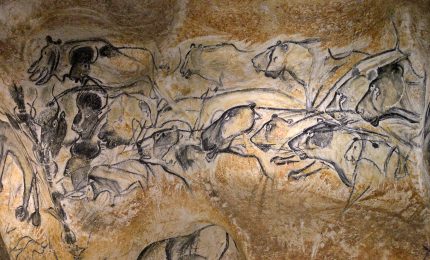 Il leone delle caverne: testimonianza millenaria della fauna europea
