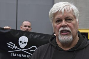 Animal rights activist Paul Watson released on bail