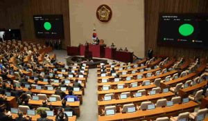 Parlamento sud corea -sudcoreano